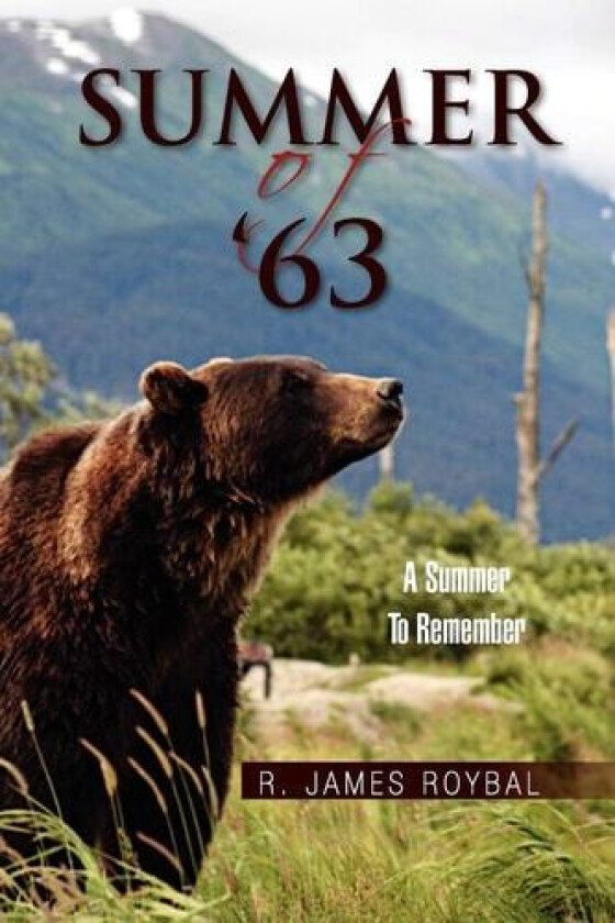 Summer of '63 av R James Roybal (Paperback)