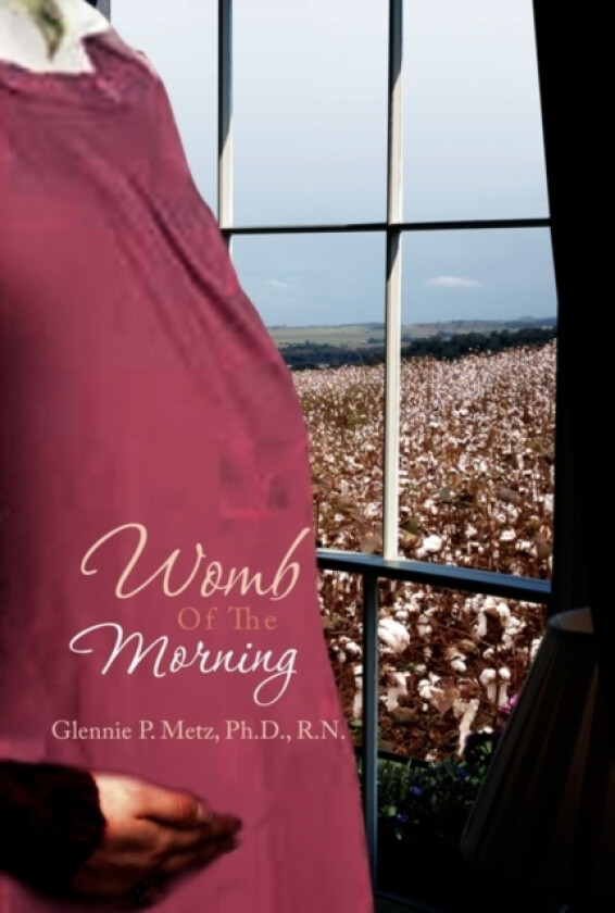 Womb of the Morning av Glennie P Metz (Paperback)