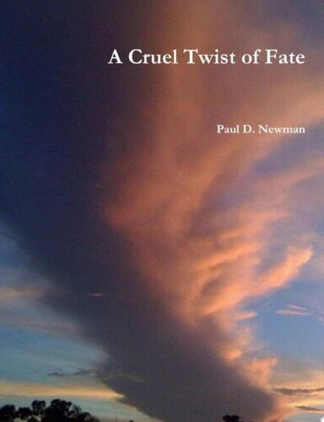 A Cruel Twist of Fate av Paul D. Newman (Paperback)