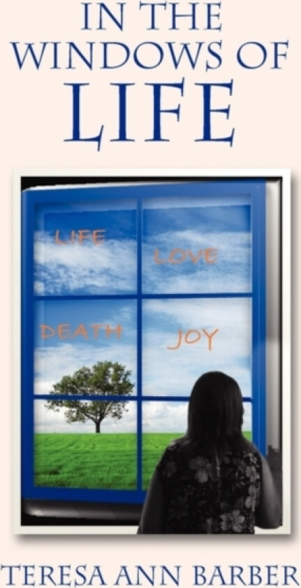 In The Windows Of Life av Teresa Ann Barber (Hardcover)
