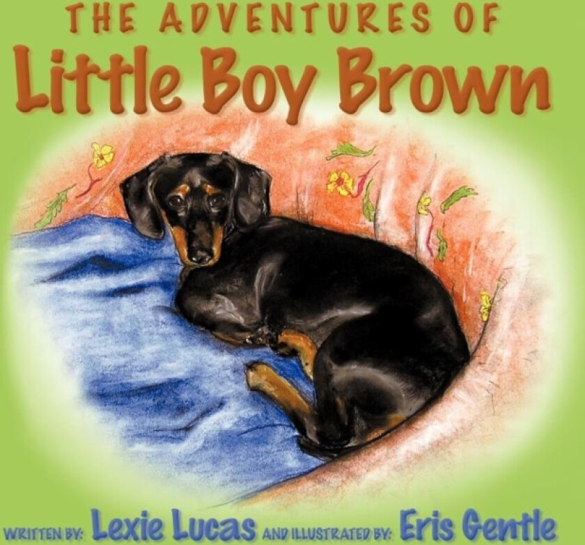 The Adventures of Little Boy Brown av Lexie Lucas (Paperback)