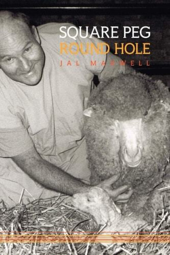 Square Peg - Round Hole av Jal Maxwell (Paperback)