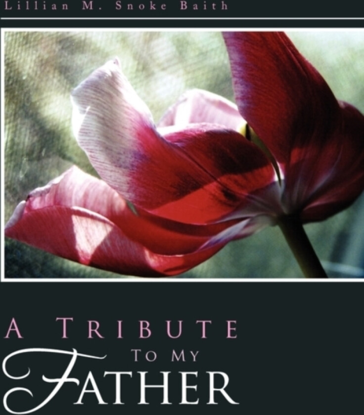 A Tribute to My Father av Lillian M Snoke Baith (Paperback)