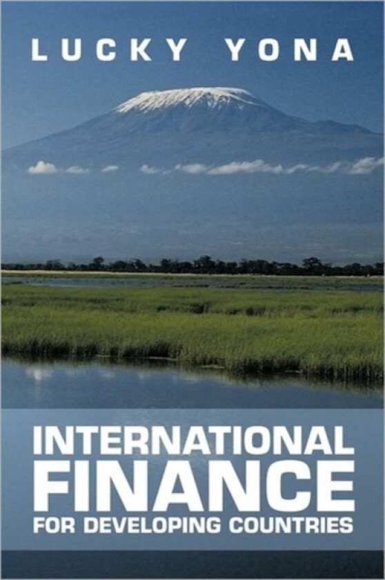 International Finance for Developing Countries av Lucky Yona (Paperback)