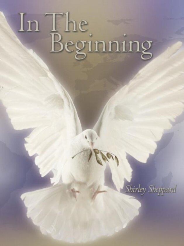 In The Beginning av Shirley Sheppard (Paperback)