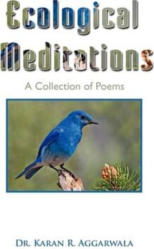 Ecological Meditations av Karen R Dr Aggarwala, Dr Karan R Aggarwala (Paperback)