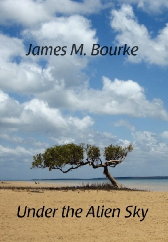 Under the Alien Sky av James M Bourke (Hardcover)