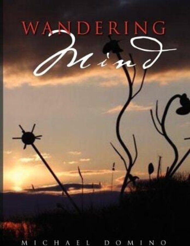 Wandering Mind av Michael Domino (Hardcover)
