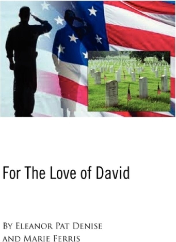 For the Love of David av Pat Eleanor Pat Denise and Marie Ferris (Paperback)