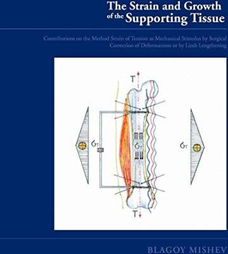 Strain and Growth of the Supporting Tissues av Blagoy Mishev (Paperback)
