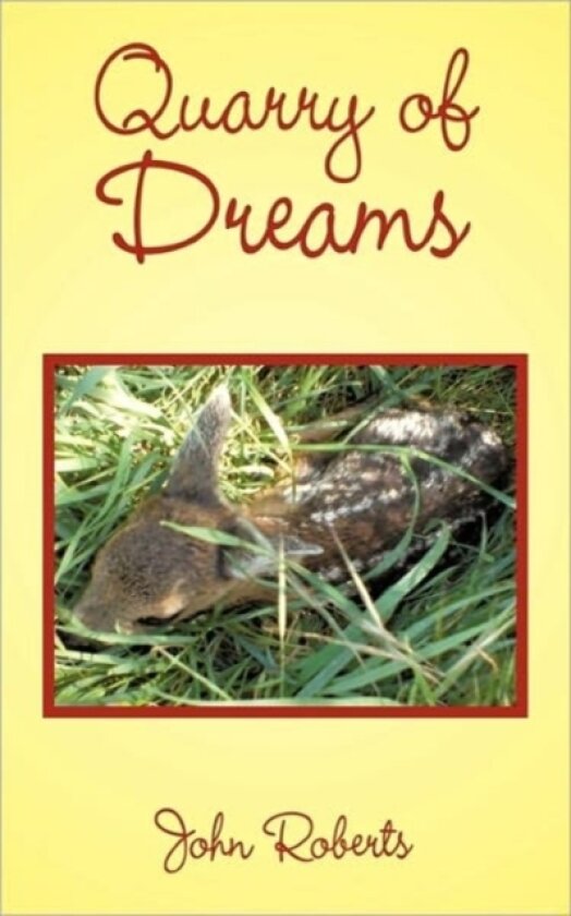 Quarry of Dreams av John Roberts (Paperback)