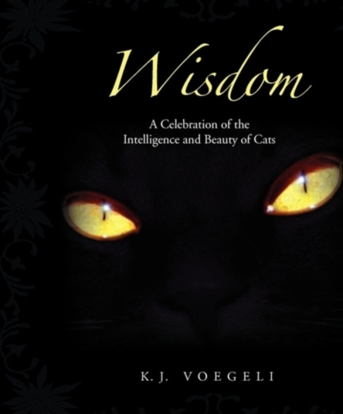 Wisdom av K J Voegeli (Paperback)