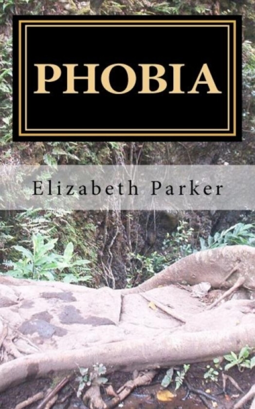 Phobia av Professor Elizabeth Edd MSW Ba Parker (Paperback)