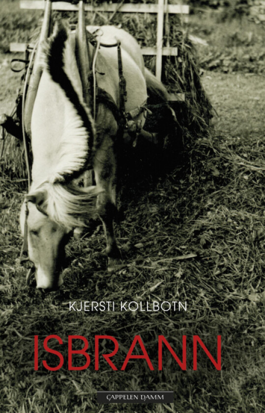 Isbrann av Kjersti Kollbotn