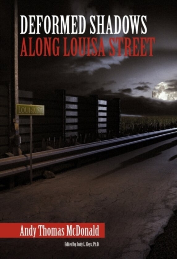 Deformed Shadows Along Louisa Street av Andy Thomas McDonald (Paperback)