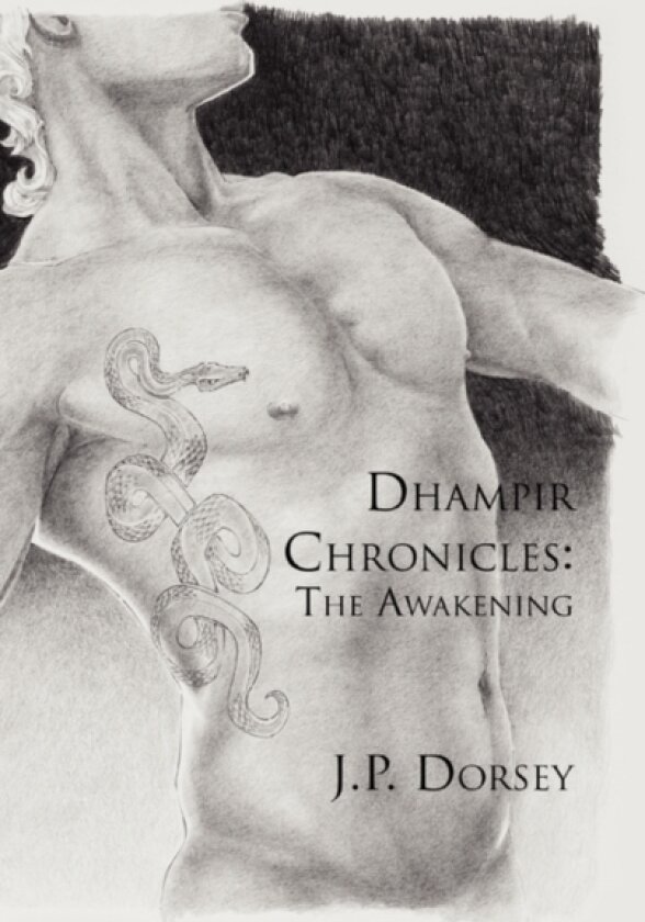 Dhampir Chronicles av J P Dorsey (Hardcover)