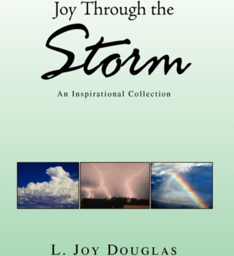 Joy Through the Storm av L Joy Douglas (Paperback)