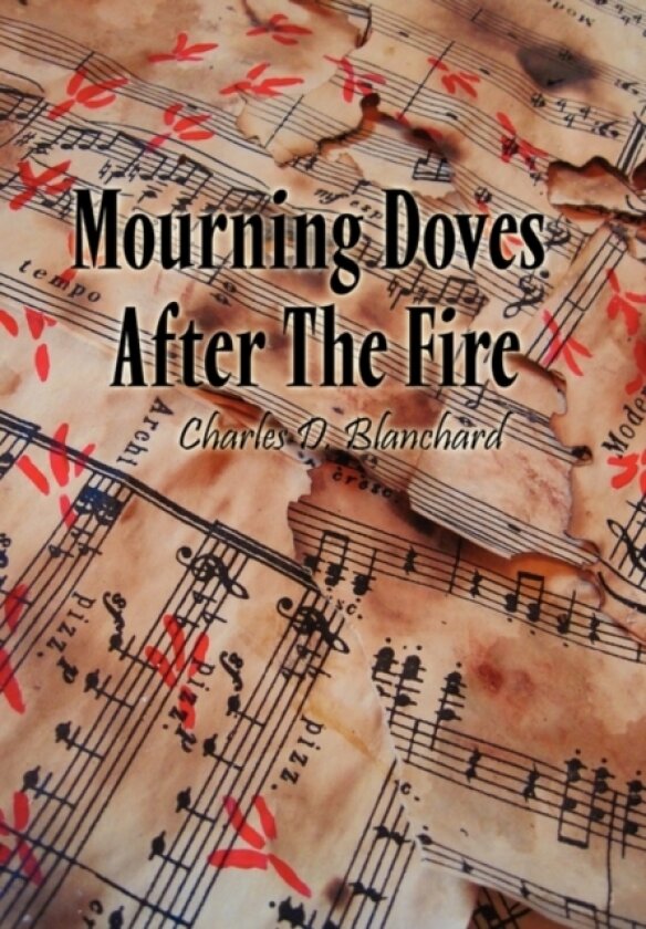 Mourning Doves After the Fire av Charles D Blanchard (Paperback)