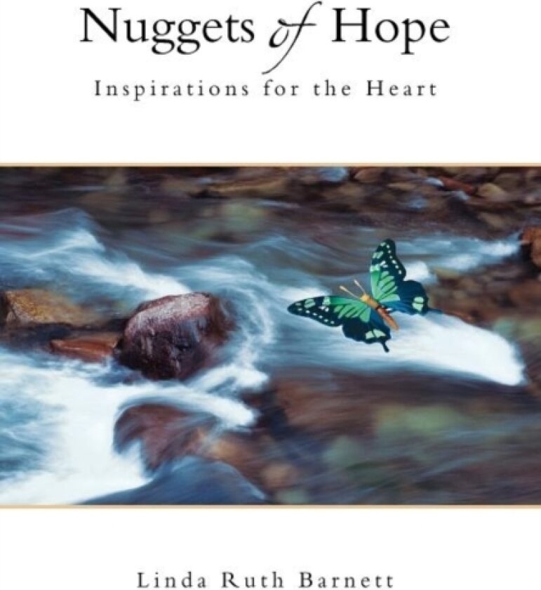 Nuggets of Hope av Linda Ruth Barnett (Hardcover)
