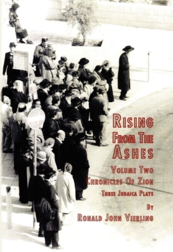 Rising from the Ashes Vol 2 av John Vierling Ronald John Vierling, Ronald John Vierling (Hardcover)