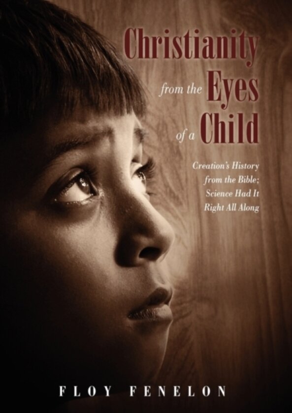 Christianity from the Eyes of a Child av Floy Fenelon (Hardcover)