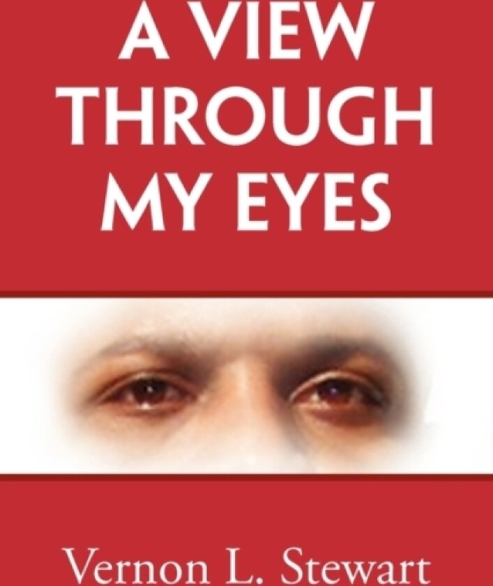A View Through My Eyes av Vernon Stewart (Paperback)
