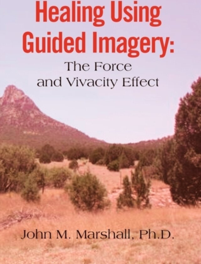 Healing Using Guided Imagery av John M Marshall (Hardcover)
