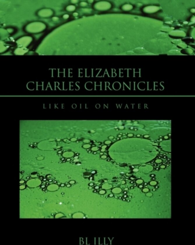 The Elizabeth Charles Chronicles av Bl Illy (Hardcover)