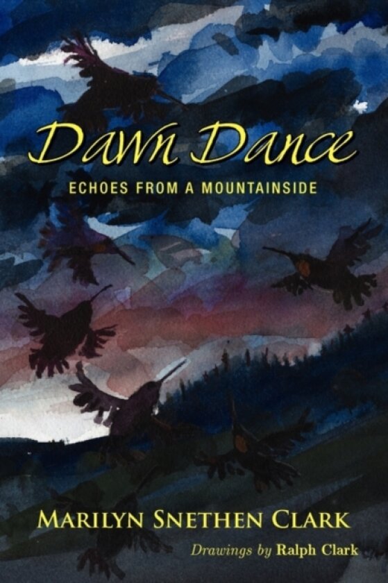 Dawn Dance av Marilyn Snethen Clark (Paperback)