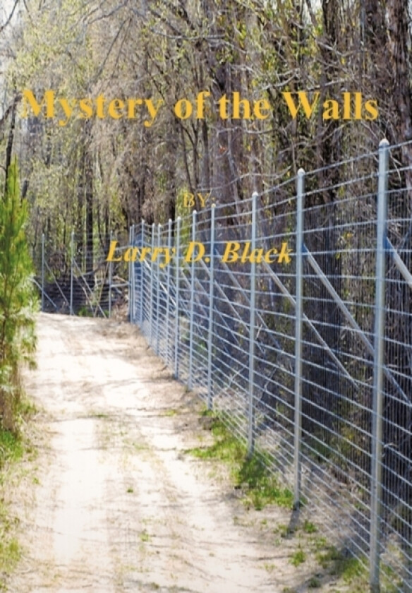 Mystery of the Walls av Larry Black (Paperback)