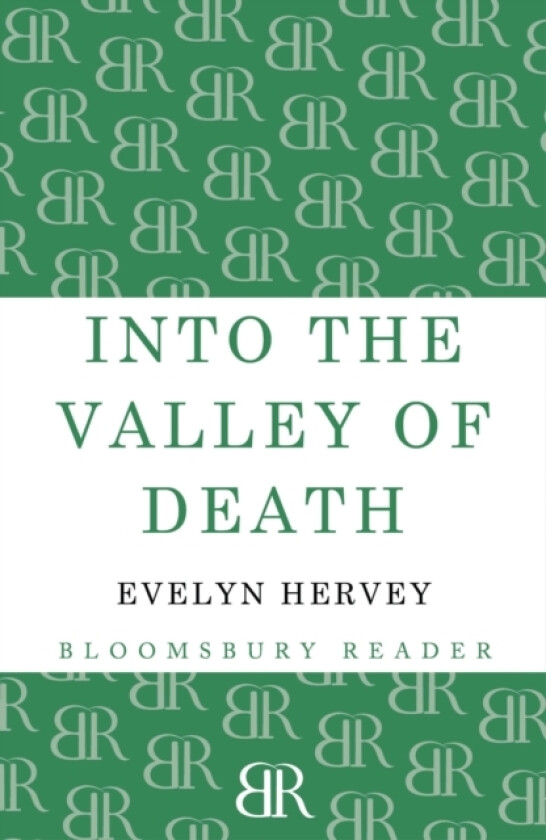 Into the Valley of Death av Evelyn Hervey (Paperback)