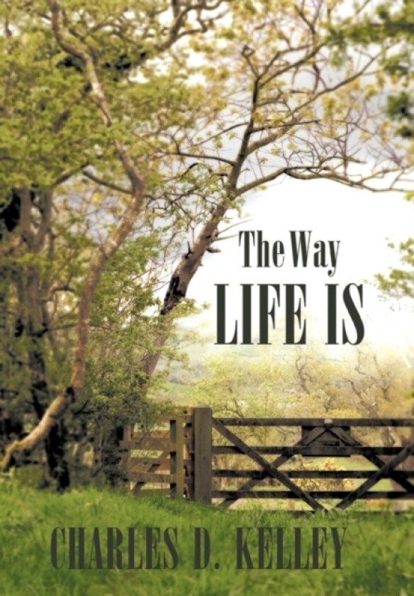 The Way Life Is av Charles D. Kelley (Paperback)