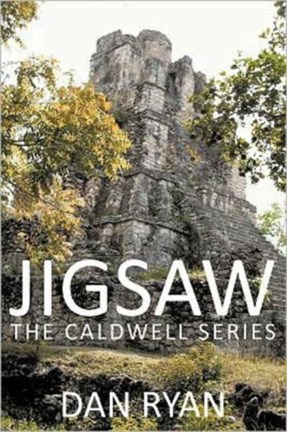 Jigsaw av Dan Ryan (Paperback)