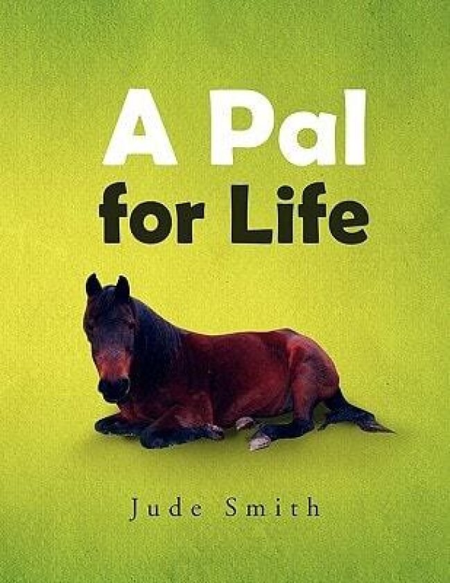 A Pal for Life av Jude Smith (Paperback)