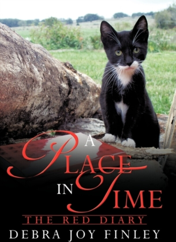 A Place in Time av Debra Joy Finley (Hardcover)