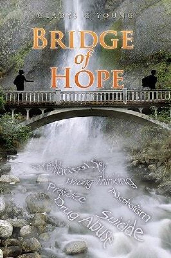 Bridge of Hope av Gladys C Young (Paperback)
