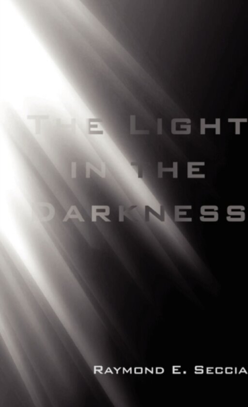 The Light in the Darkness av Raymond E Seccia (Paperback)