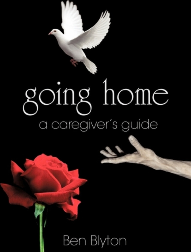 Going Home av Ben Blyton (Paperback)