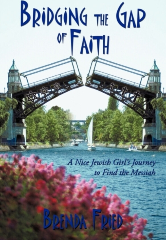 Bridging the Gap of Faith av Brenda Fried (Paperback)