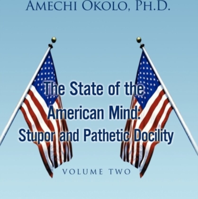 The State of the American Mind av Amechi PH D Okolo (Hardcover)
