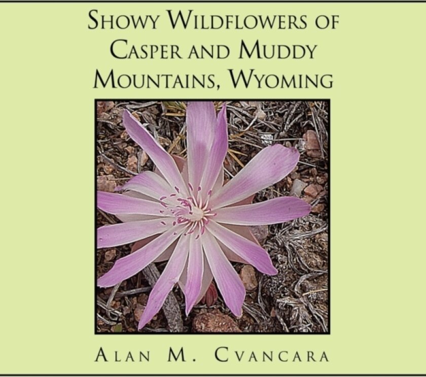 Showy Wildflowers of Casper and Muddy Mountains, Wyoming av Alan M Cvancara (Paperback)