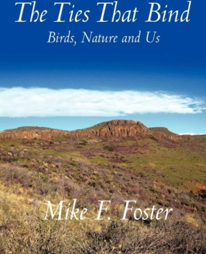 The Ties That Bind av Mike F. Foster (Hardcover)