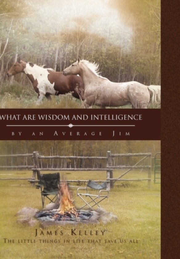 What Are Wisdom and Intelligence av James Kelley (Paperback)
