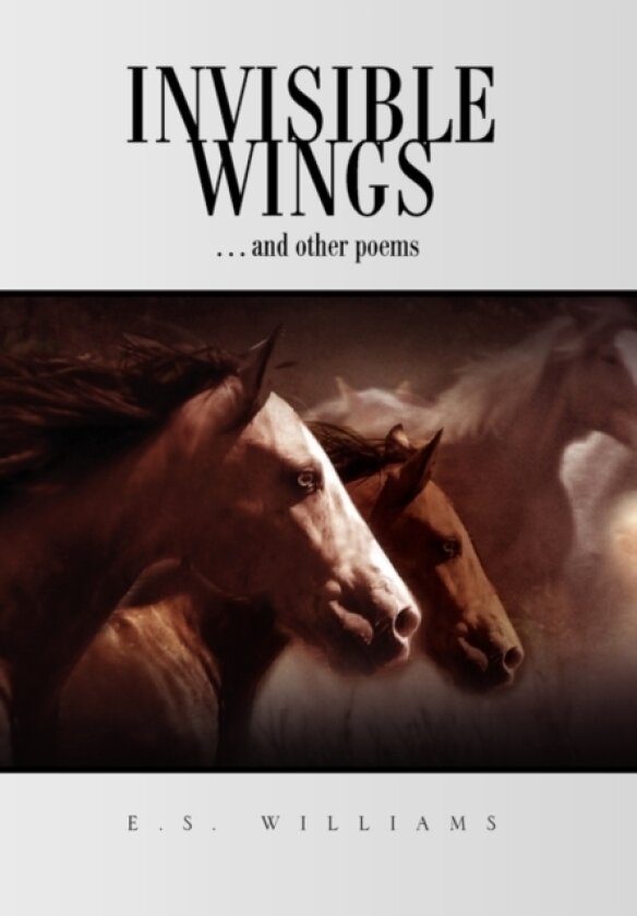Invisible Wings av E S Williams (Paperback)