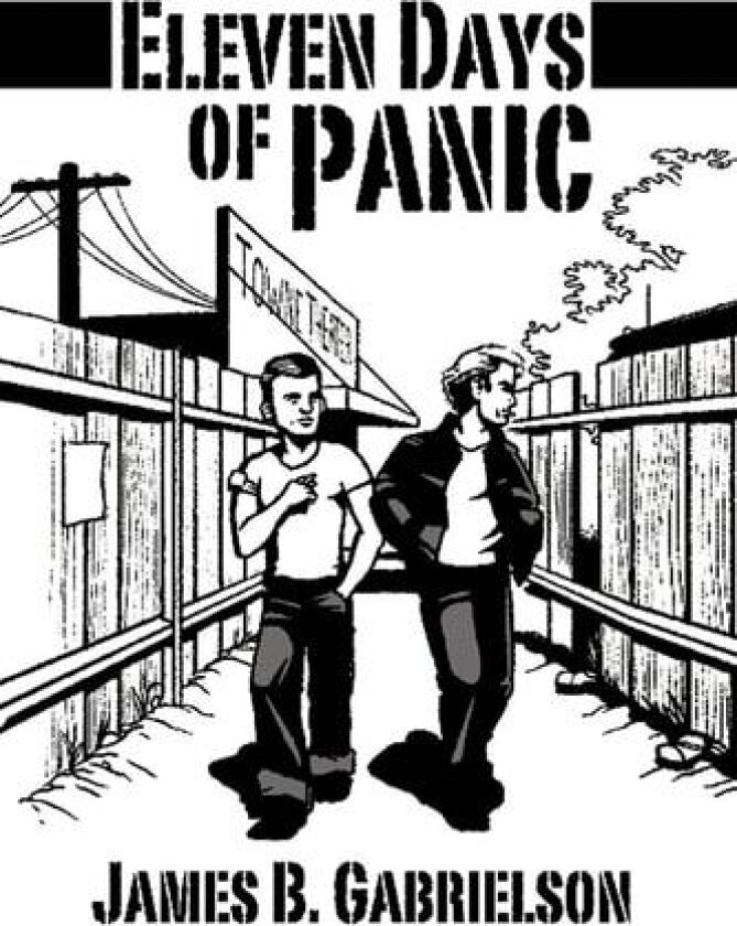 Eleven Days of Panic av James B. Gabrielson (Paperback)