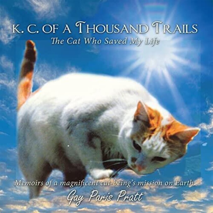 K.C. Of A Thousand Trails av Gay Paris Pratt (Paperback)