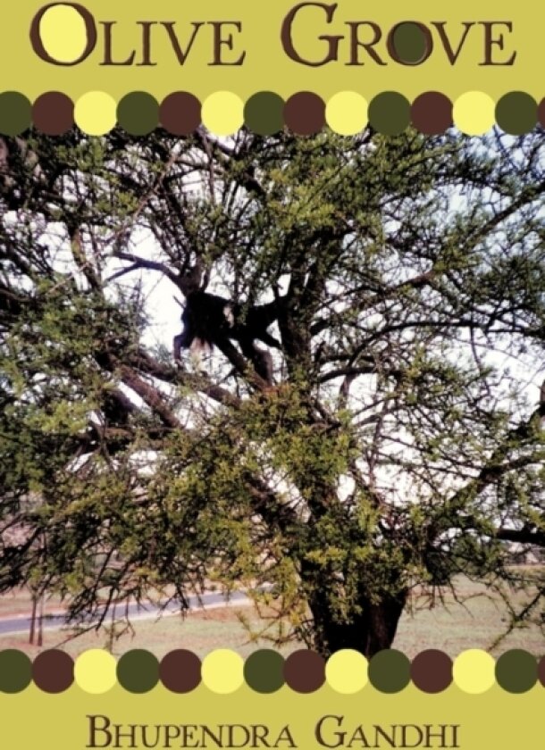 Olive Grove av Bhupendra Gandhi (Paperback)