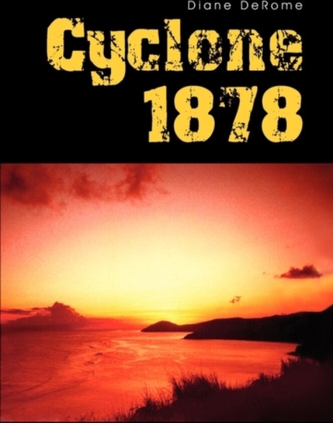 Cyclone 1878 av Diane Derome (Paperback)