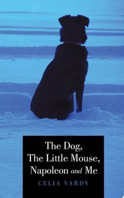 The Dog, The Little Mouse, Napoleon And Me av Celia Vardy (Paperback)