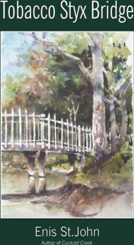 Tobacco Styx Bridge av Enis St John (Hardcover)